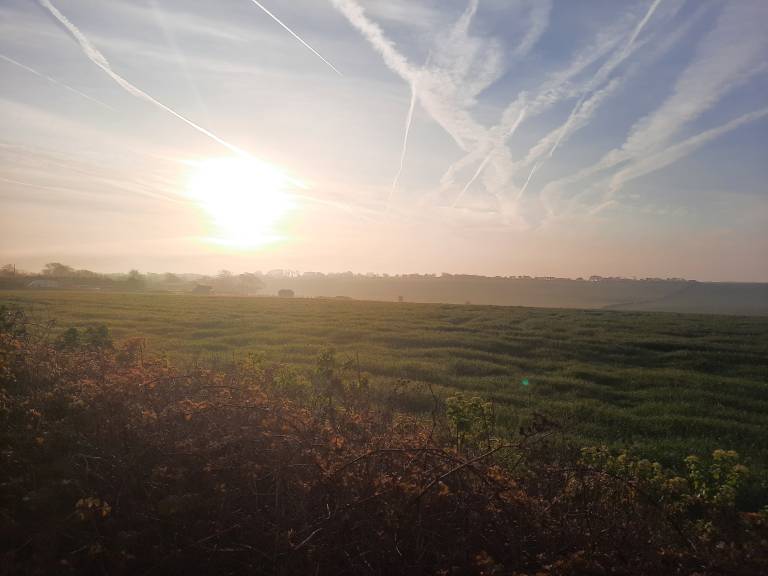 foto17