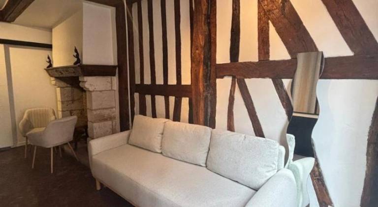 Charming rental apartment | Pets are welcome in Rouen