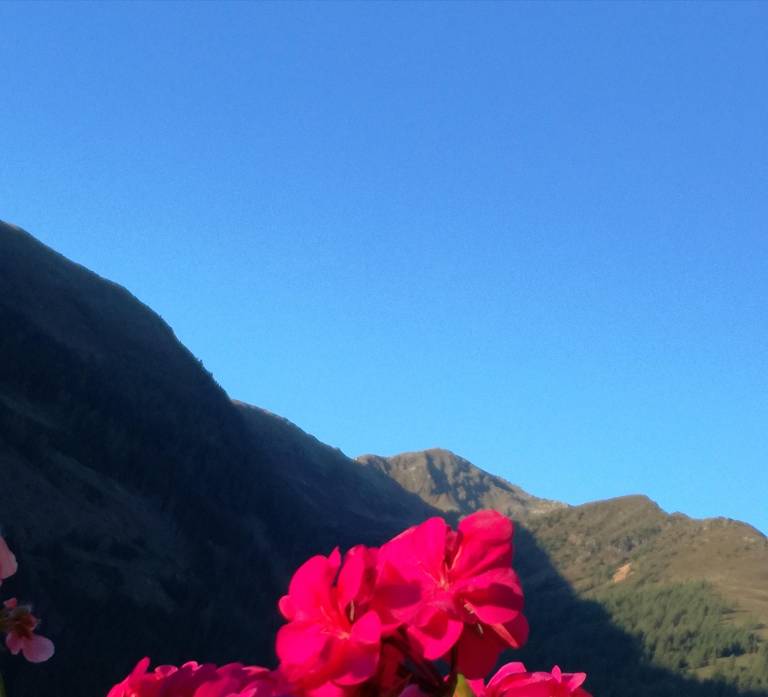 foto32