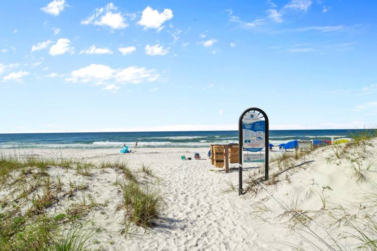 Back to the Beach — photo 3