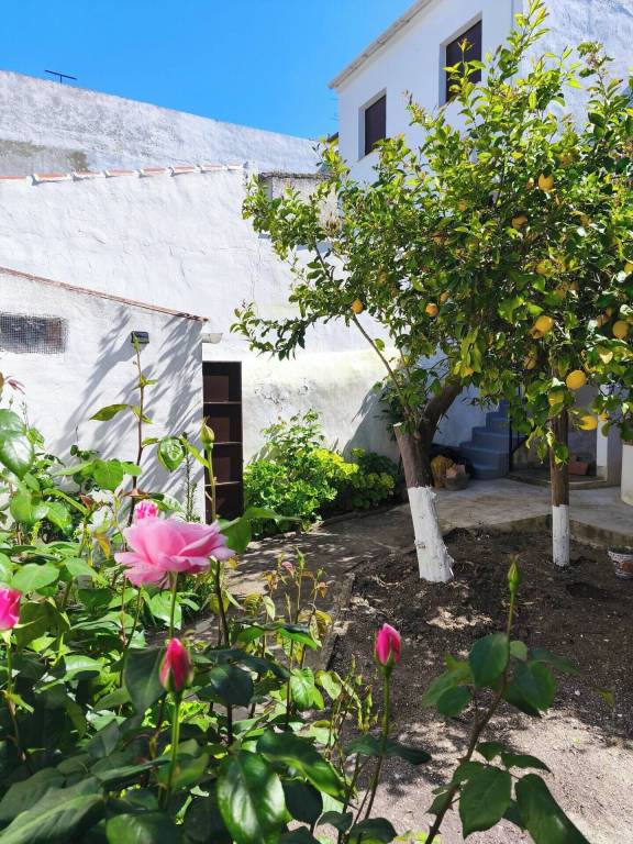 Casa Cañete la Real
