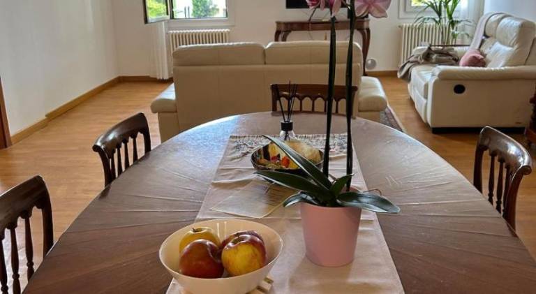 Holiday apartment | Pet-friendly — photo 4