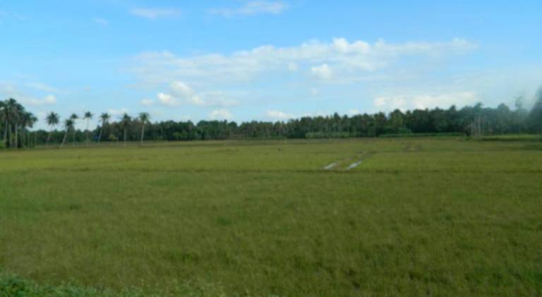 foto10