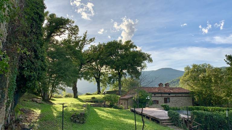 Ferienhaus in Arezzo, Toskana f&uuml;r max. 4 Personen