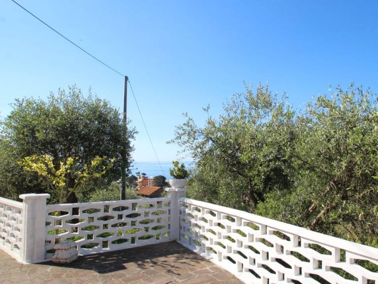 foto18