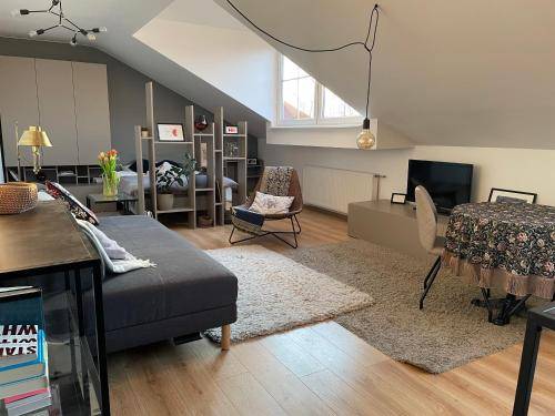 Apartment Senamiestis