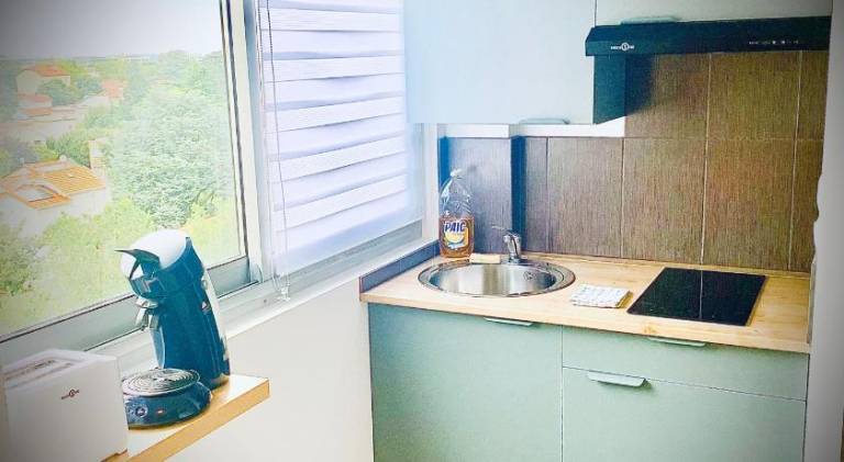 Holiday apartment | Pets are welcome in Venissieux