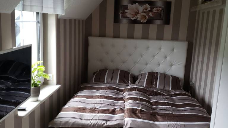 foto11
