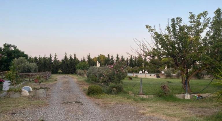 Farm with private pool & garden — photo 5