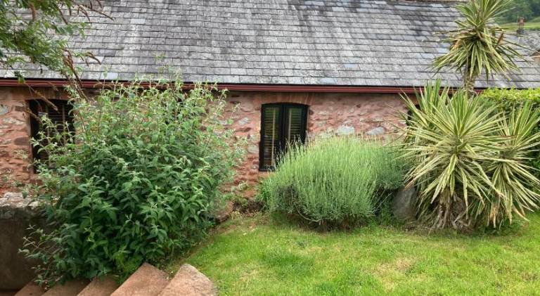 Vacation home | Pet-friendly in Torquay