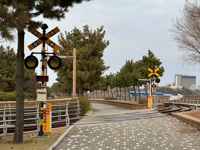 foto45