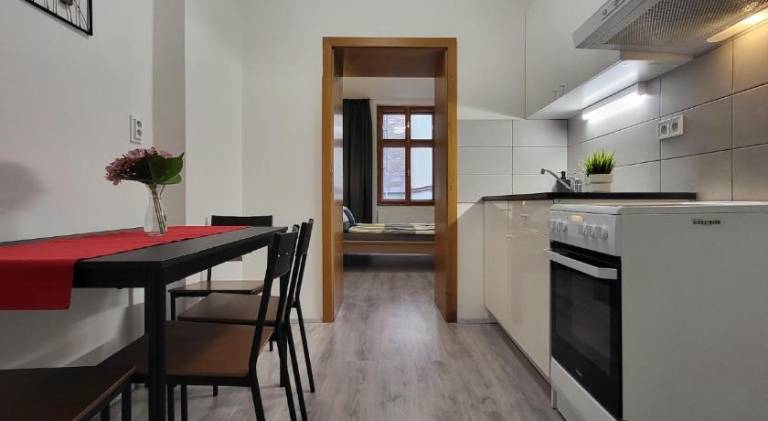 Apartment | Next to Špilberk Castle | Pets allowed — photo 5