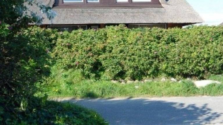 Ferienwohnung  List