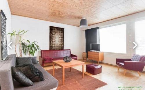 Ferielejlighed  Oulu