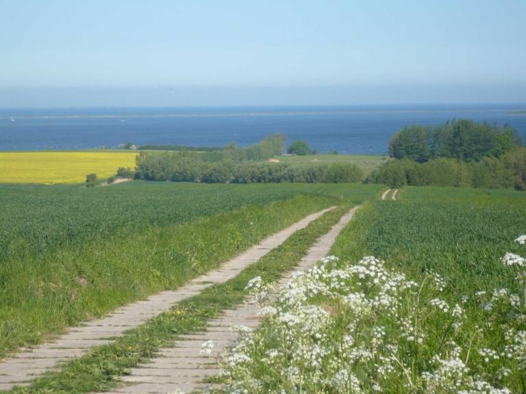 foto31