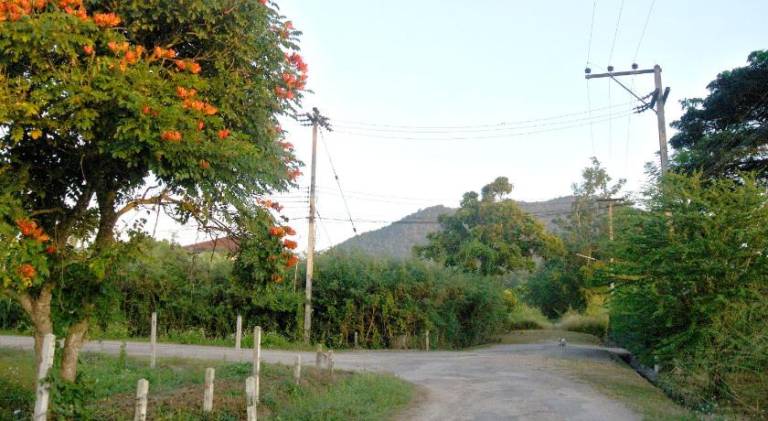 foto8