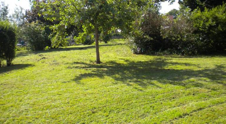 Rental apartment with garden in Haguenau
