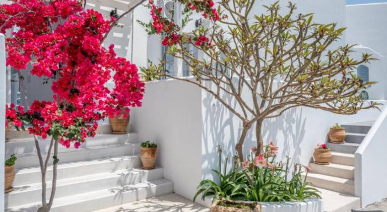 Serviced apartment with patio in Milos