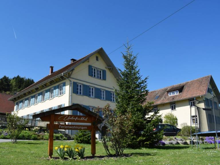foto11