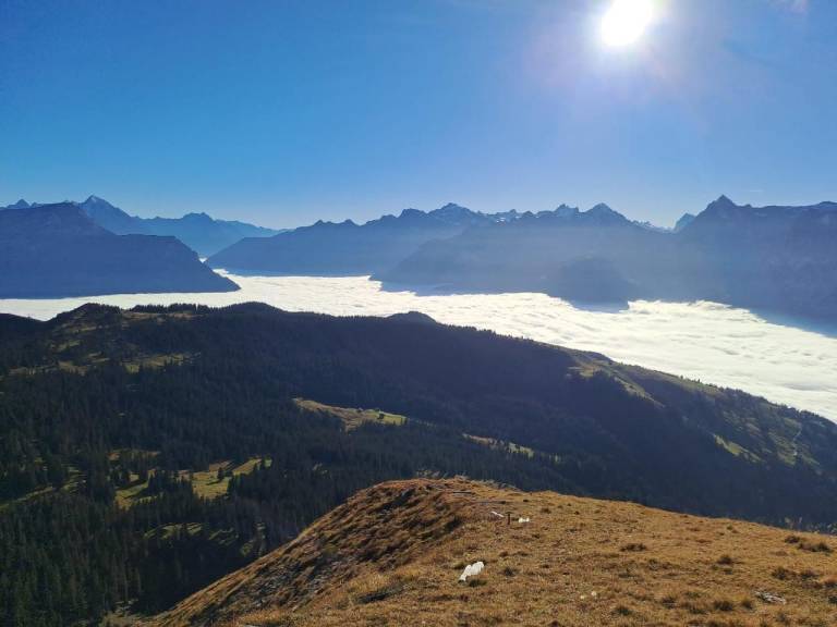 foto16