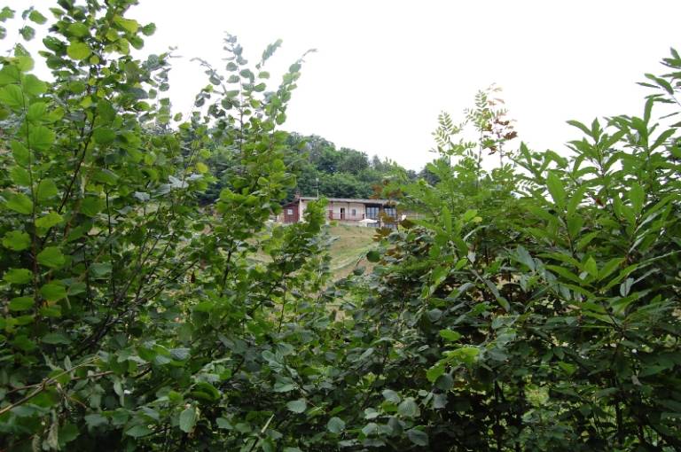 foto15