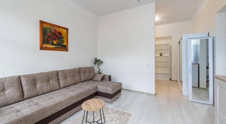 Rental apartment | Pet-friendly in Kaunas