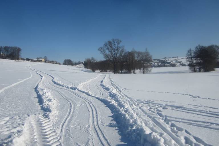 foto31