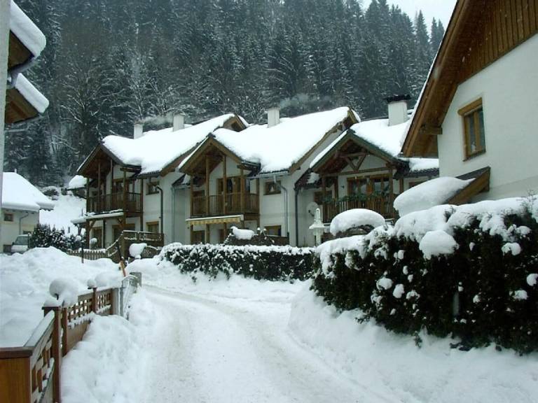 Ferienhaus Flachau