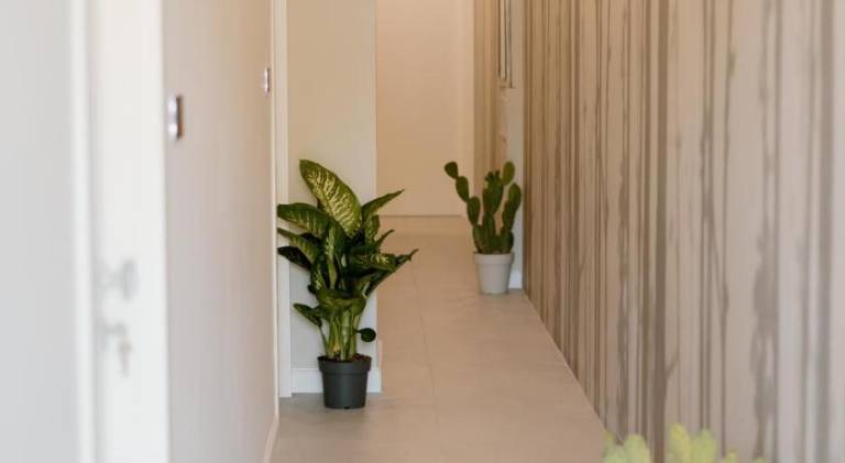 Stella D'Oro Rooms — photo 2
