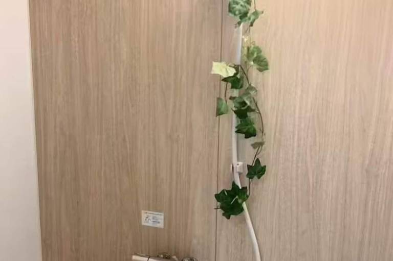 foto7