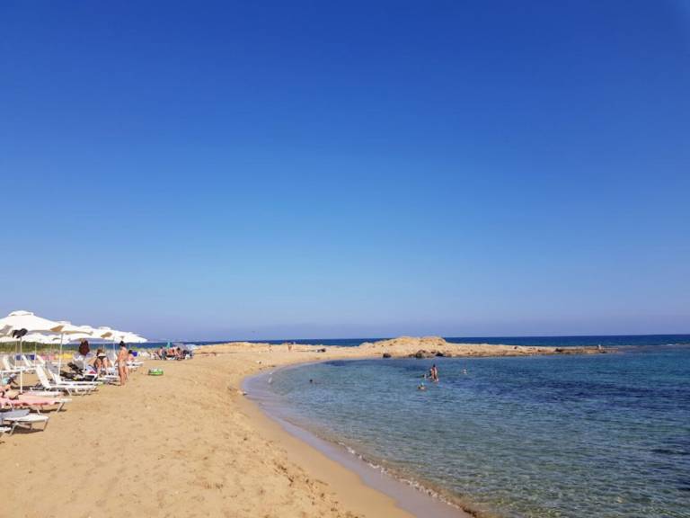 foto42