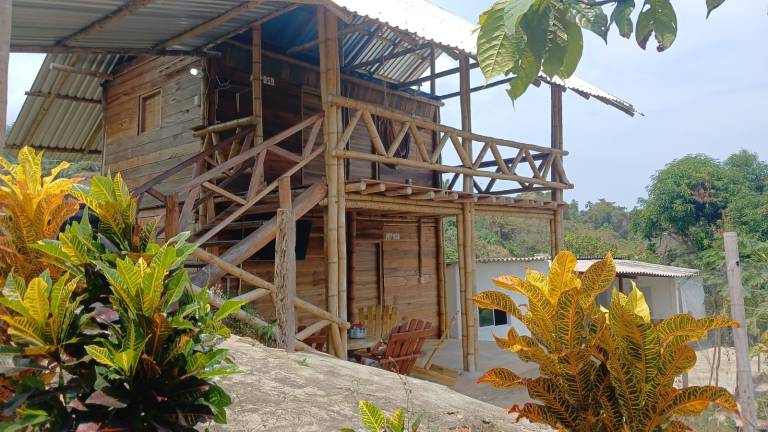 OSO Hostel in Santa Marta