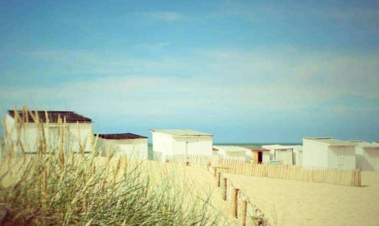 Appartement Blériot-Plage