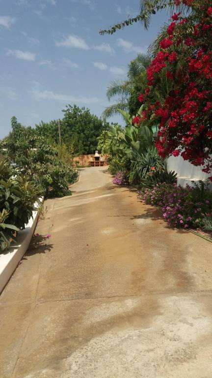 Fully equipped villa with private pool, patio & yard | Sea view | Dogs allowed — photo 2