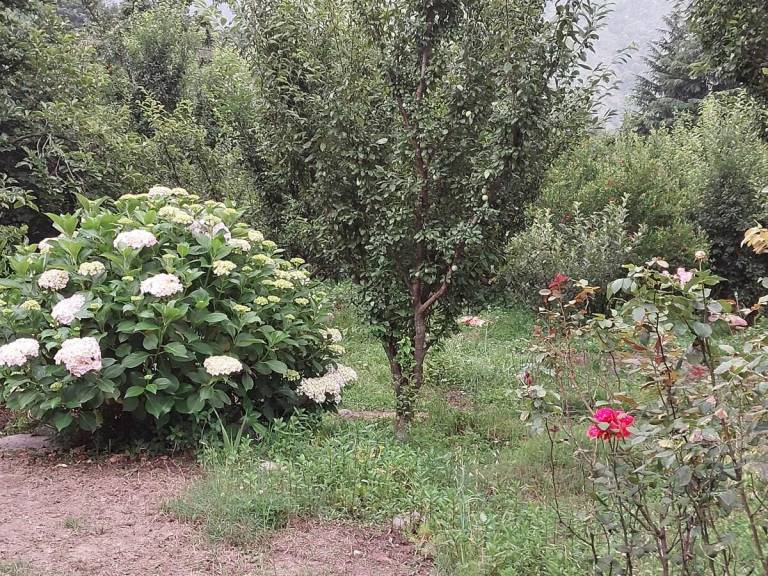 foto46