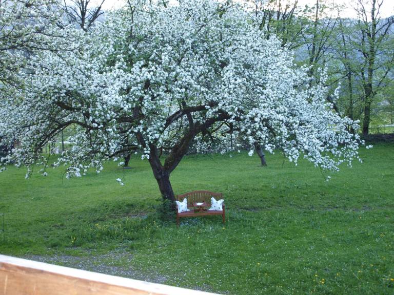 foto16