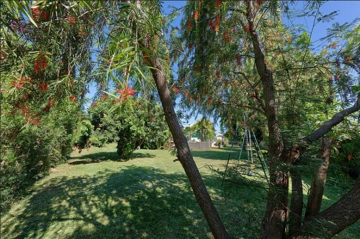 foto21