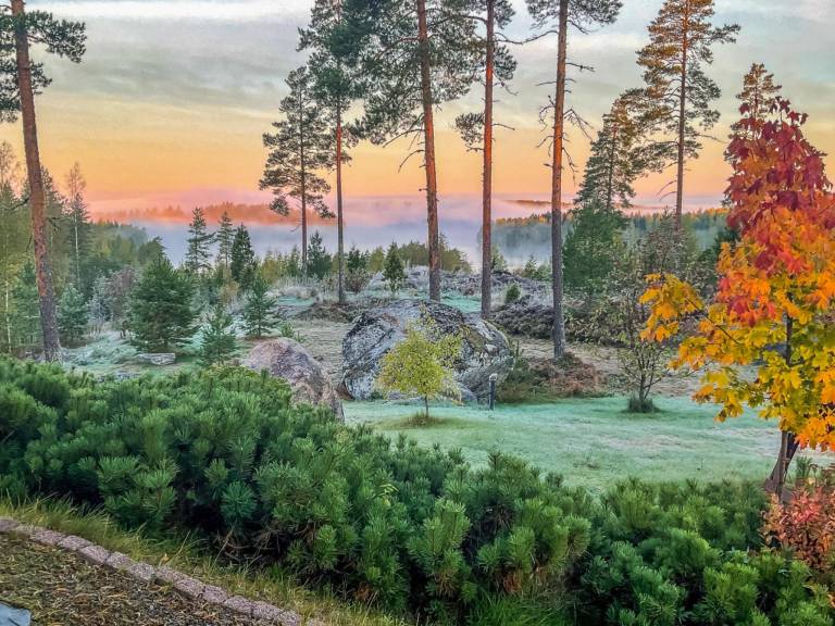 Vacation home with terrace & sauna | Nature view — photo 3