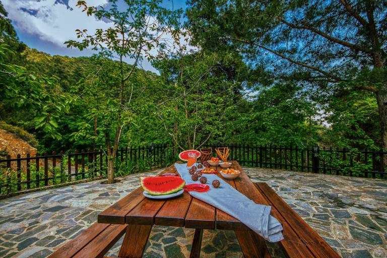 Villa Troodos