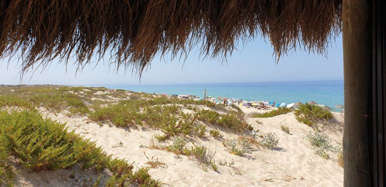 Ferienhaus Comporta