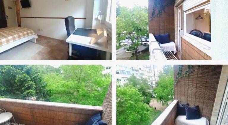 Private Rooms in Shared Apartment - Shared Bathroom and Dog Friendly — photo 2