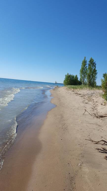 Cottage  Forester Township