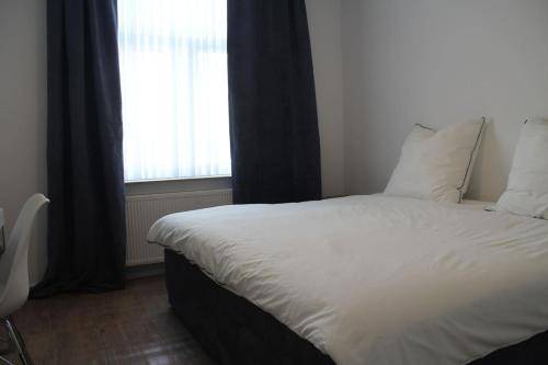 foto19