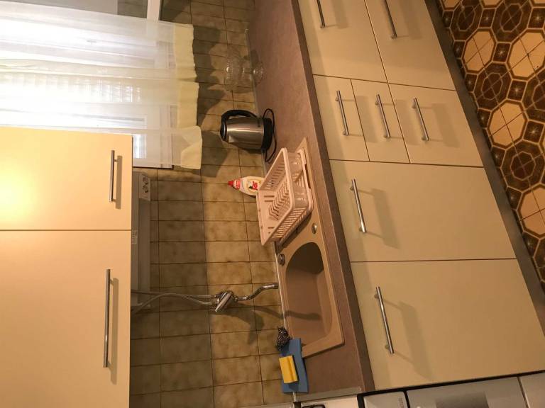 Apartment with barbeque — photo 4