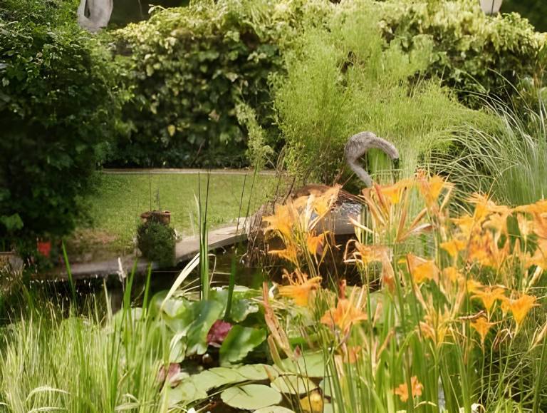 foto35