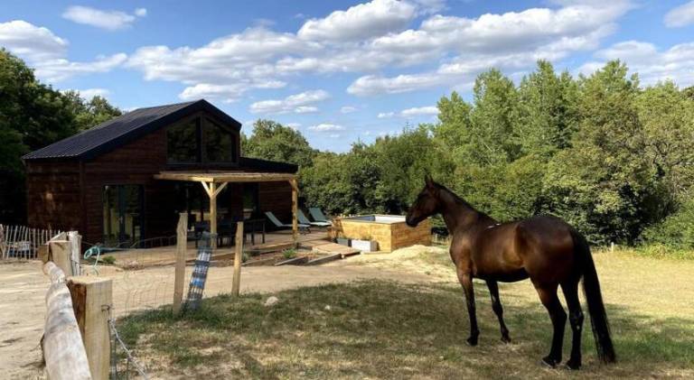 Lovely chalet with pool | Pet-friendly — photo 5