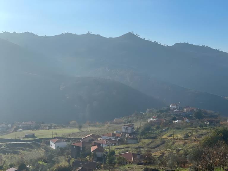 foto40