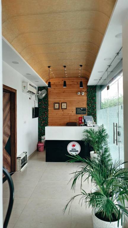 foto2