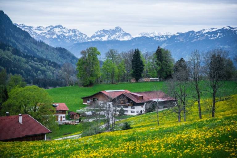 Ferienwohnung Buchenberg