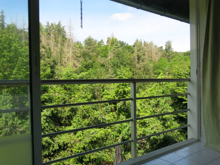 Apartment | Mountain view — photo 2